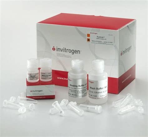 mirvana mirna isolation kit|qiagen mirna extraction kit.